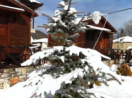 Chalet Parea Metamorfosi  Eksteriør bilde